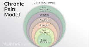 Understanding Chronic Pain